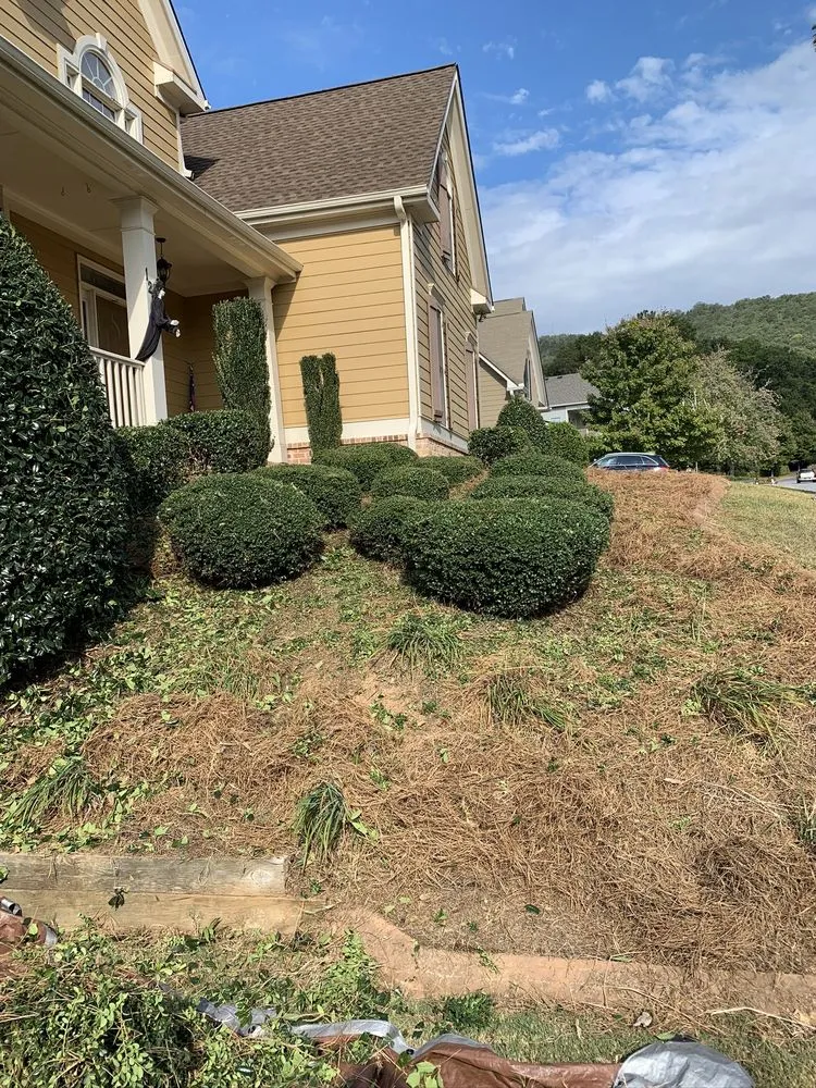 Local lawn mowing service for beautiful yards across Cumming, GA - New Vision Landscaping