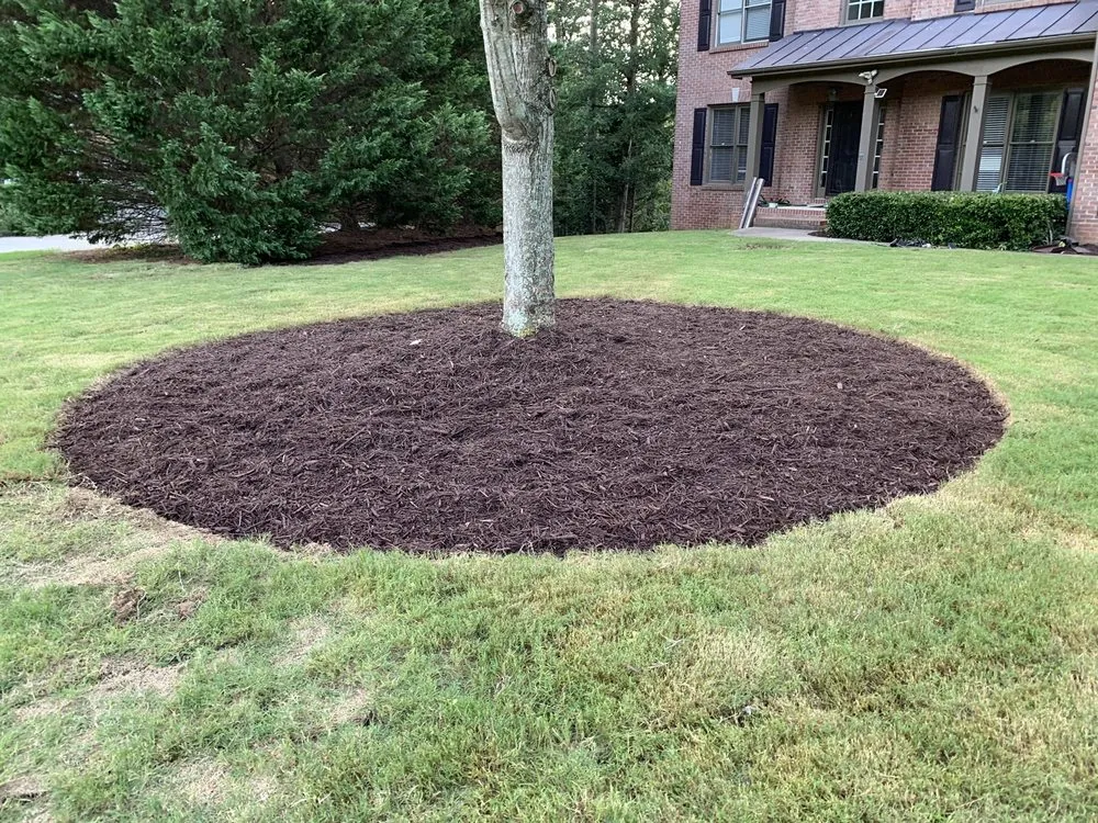 Expert yard maintenance experts serving Cumming, GA - New Vision Landscaping