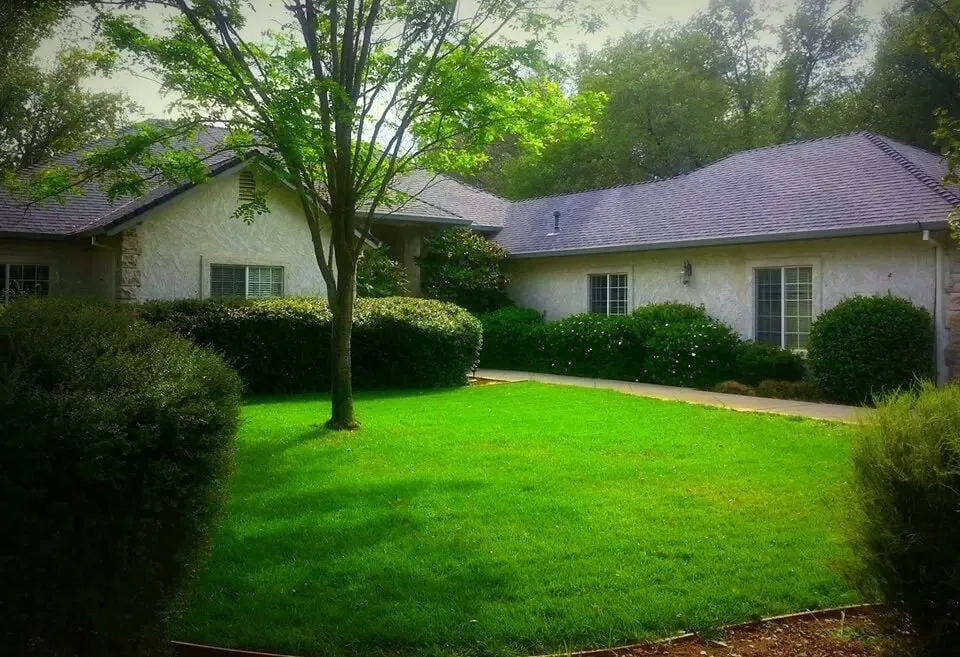 Top-rated lawn care service near you in Redding, CA by New Vision Landscaping