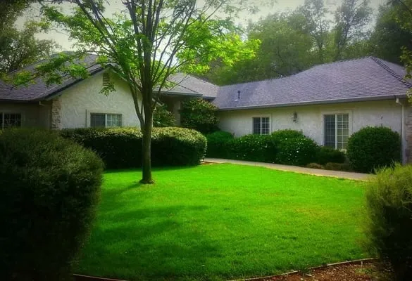 New Vision Landscaping Logo