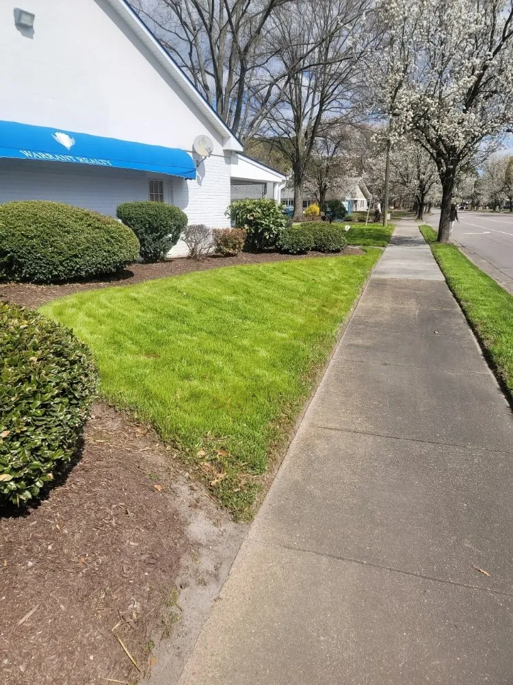 Affordable yard maintenance for year-round maintenance across Virginia Beach, VA - New Vision Lawn Care