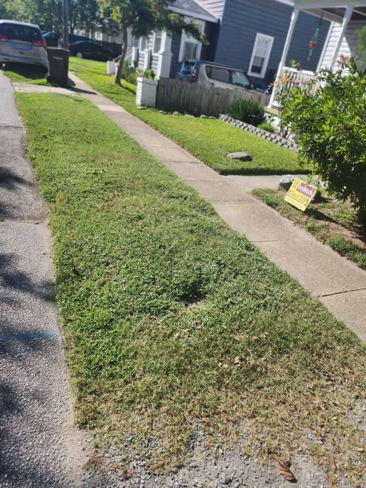 Professional yard cleanup service for homes in Virginia Beach, VA by New Vision Lawn Care