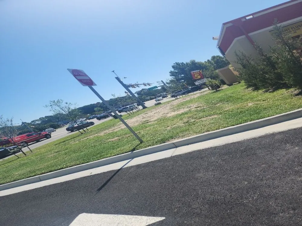 Reliable yard cleanup service in Virginia Beach, VA by New Vision Lawn Care