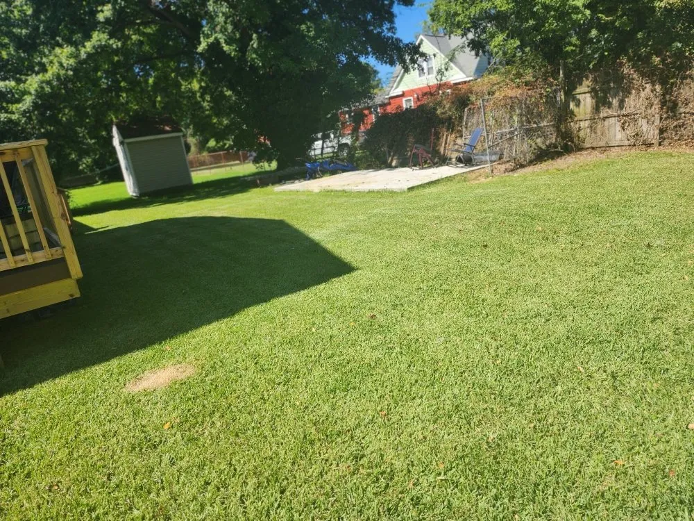 Local outdoor landscaping experts serving Virginia Beach, VA - New Vision Lawn Care