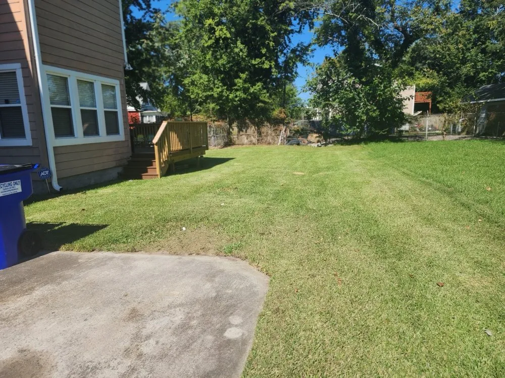 Custom lawn care service in Virginia Beach, VA by New Vision Lawn Care