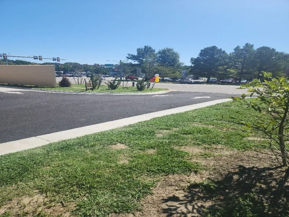 Local outdoor landscaping experts serving Virginia Beach, VA - New Vision Lawn Care