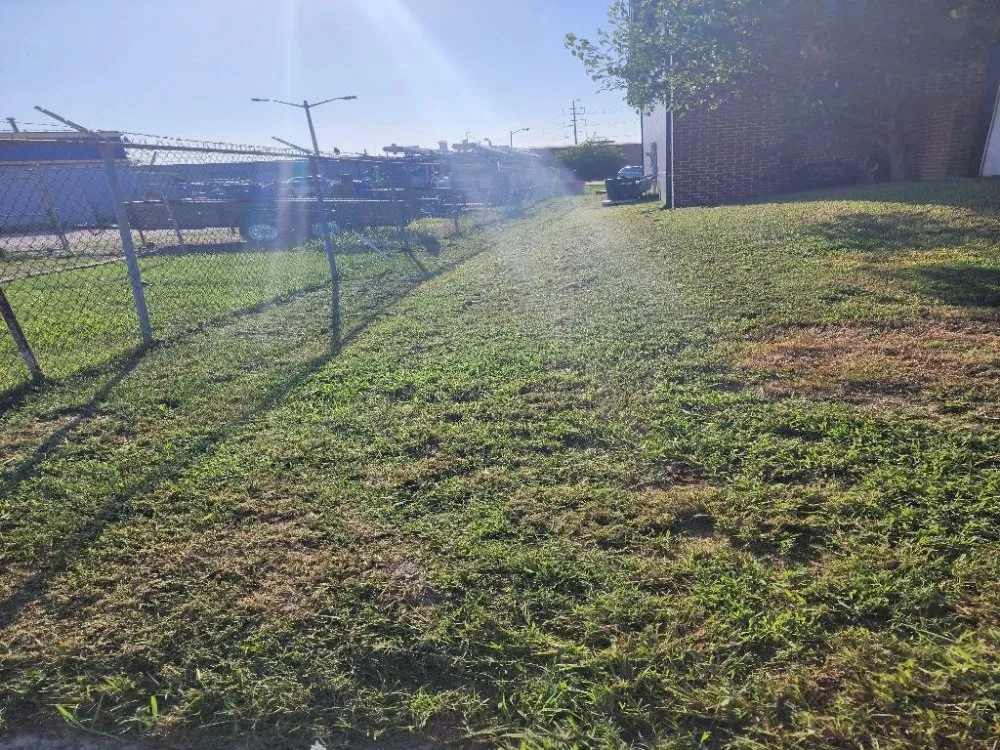 Professional landscaping services in Virginia Beach, VA - New Vision Lawn Care