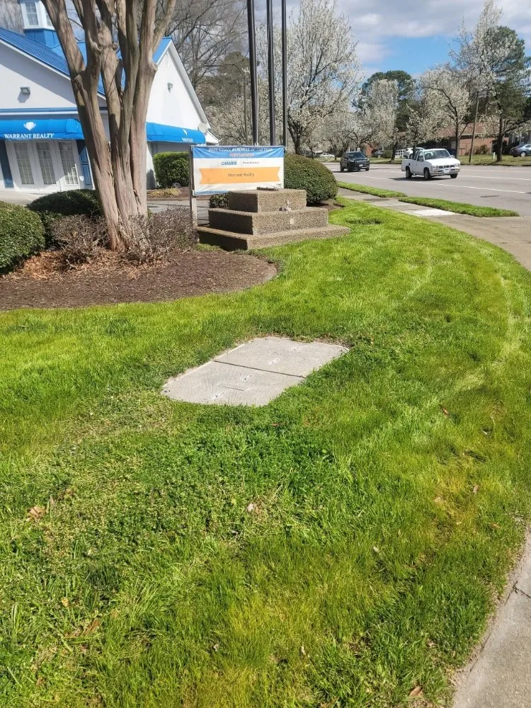 Expert yard maintenance for beautiful yards across Virginia Beach, VA - New Vision Lawn Care