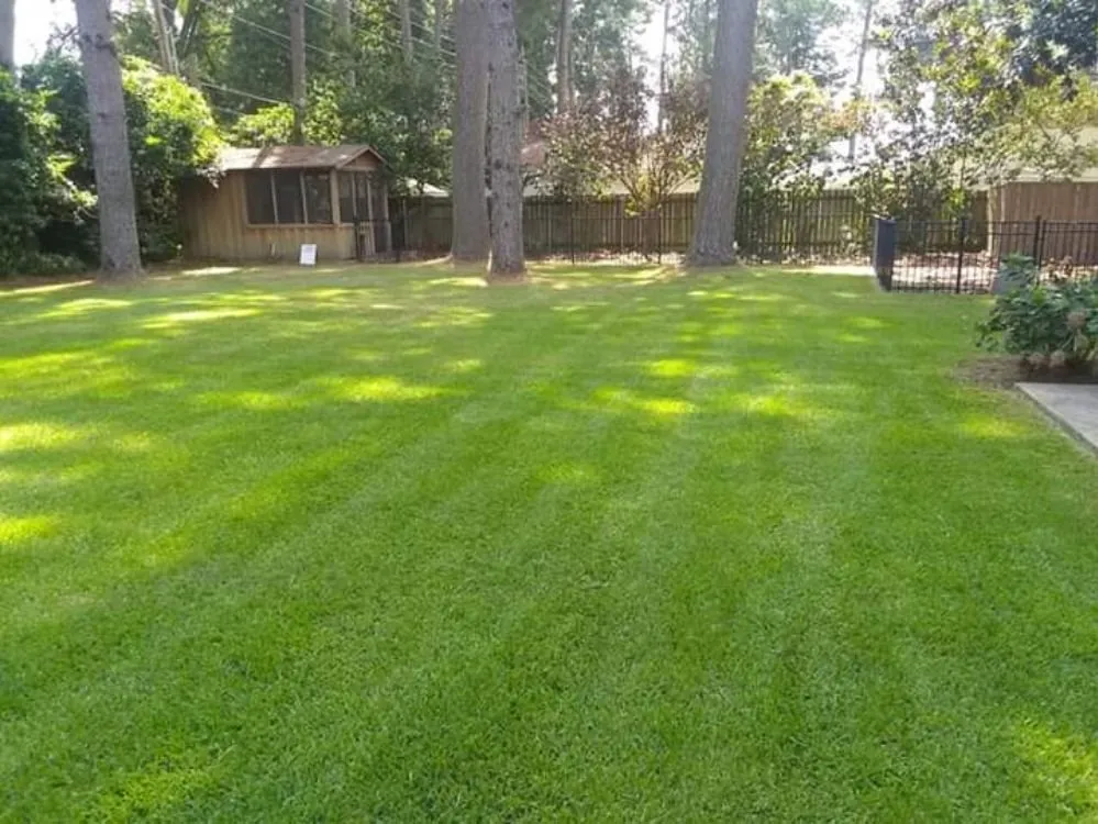 Local lawn care service for beautiful yards in West Monroe, LA by New Vision Lawn Care
