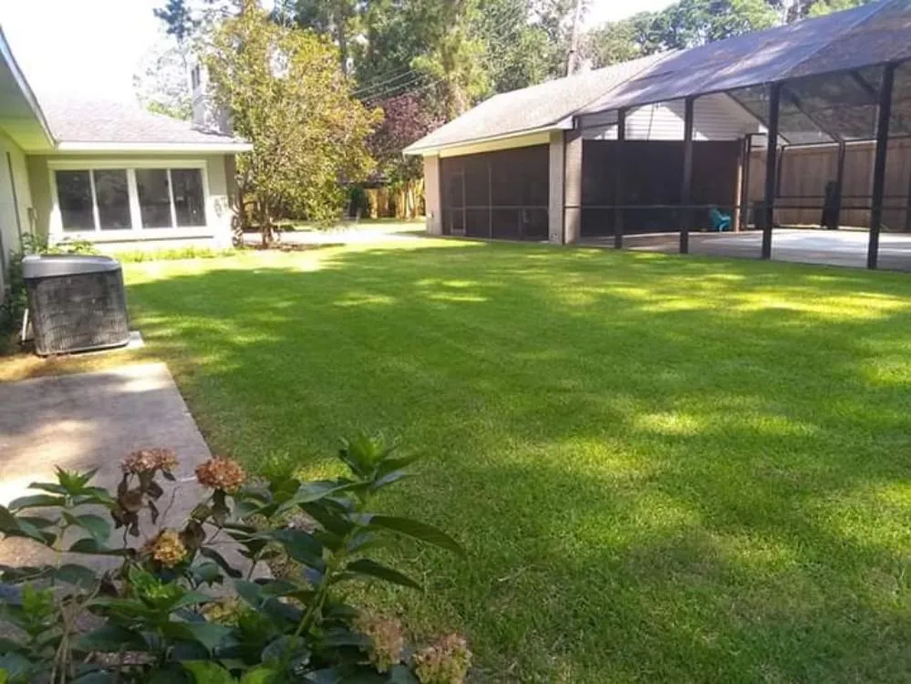Affordable yard maintenance in West Monroe, LA - New Vision Lawn Care