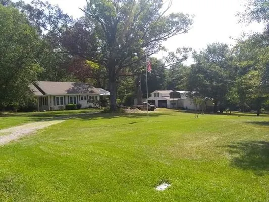 New Vision Lawn Care Logo