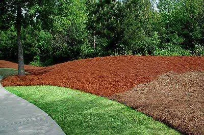 Affordable garden landscaping in Sugar Hill, GA by New Vision Windows And Gutters