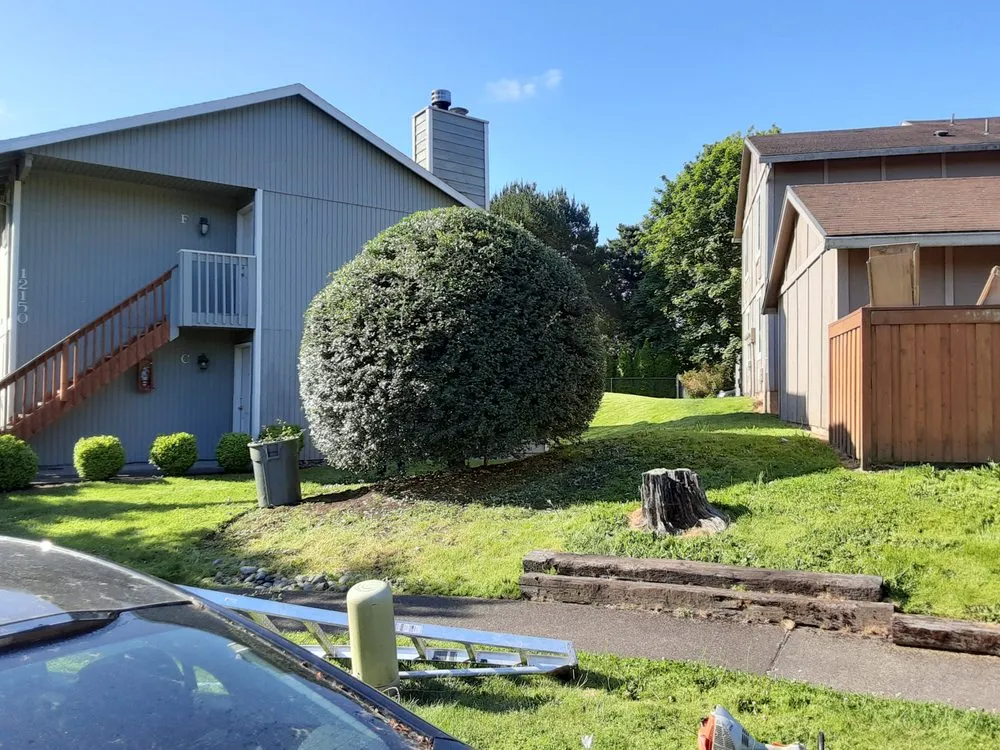 Trusted yard maintenance experts serving Portland, OR - New Way Construction & Landscape