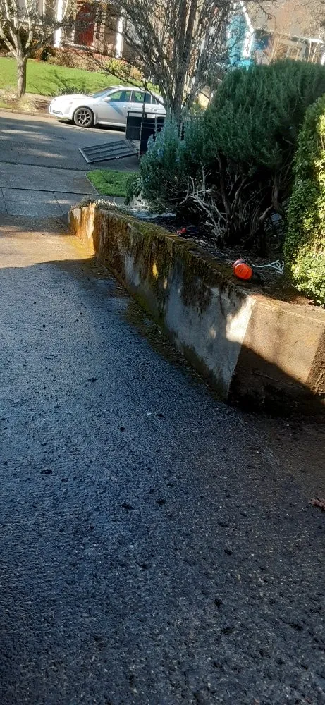 Professional yard maintenance in Portland, OR - New Way Construction & Landscape