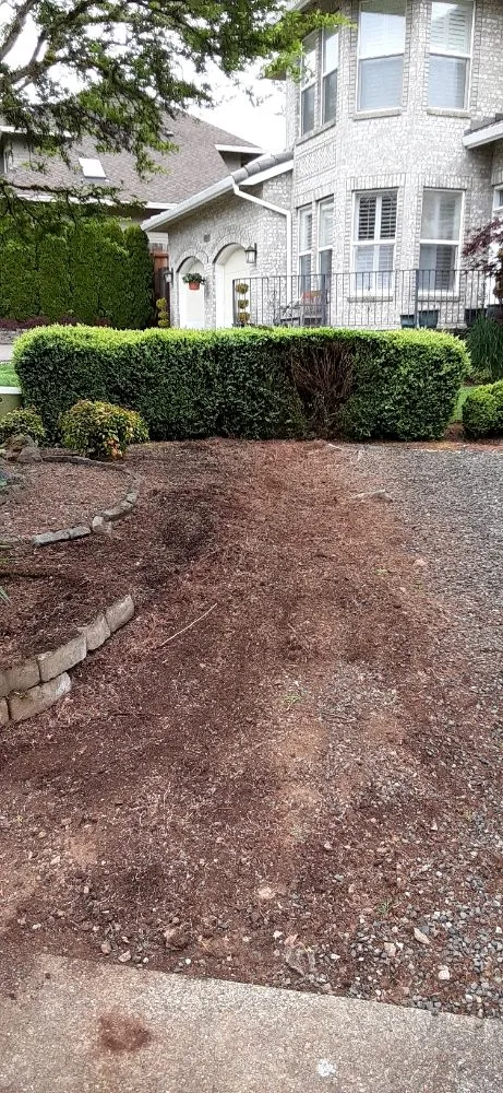 Professional yard maintenance in Portland, OR by New Way Construction & Landscape