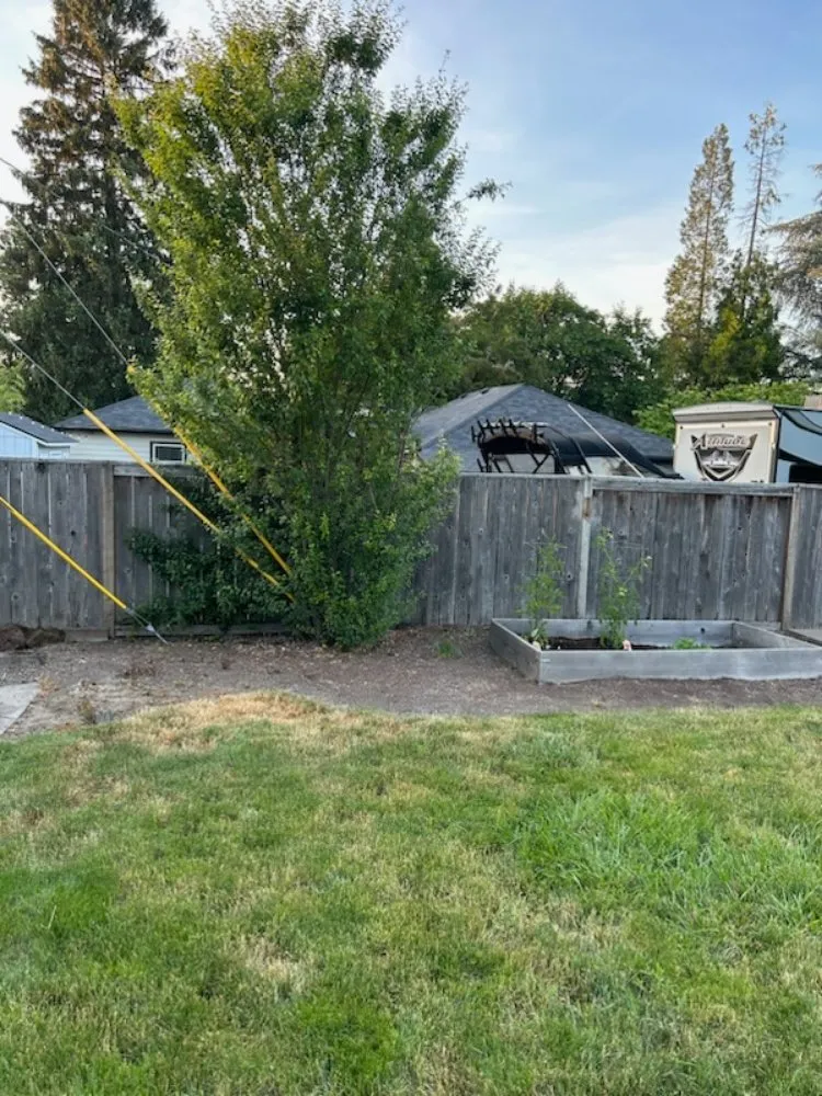Local yard maintenance in Portland, OR by New Way Construction & Landscape