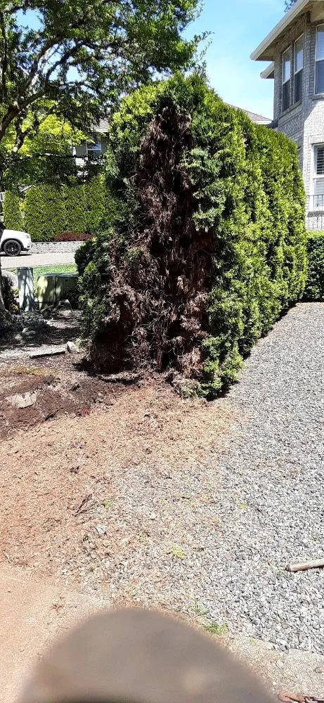 Affordable outdoor landscaping experts serving Portland, OR - New Way Construction & Landscape