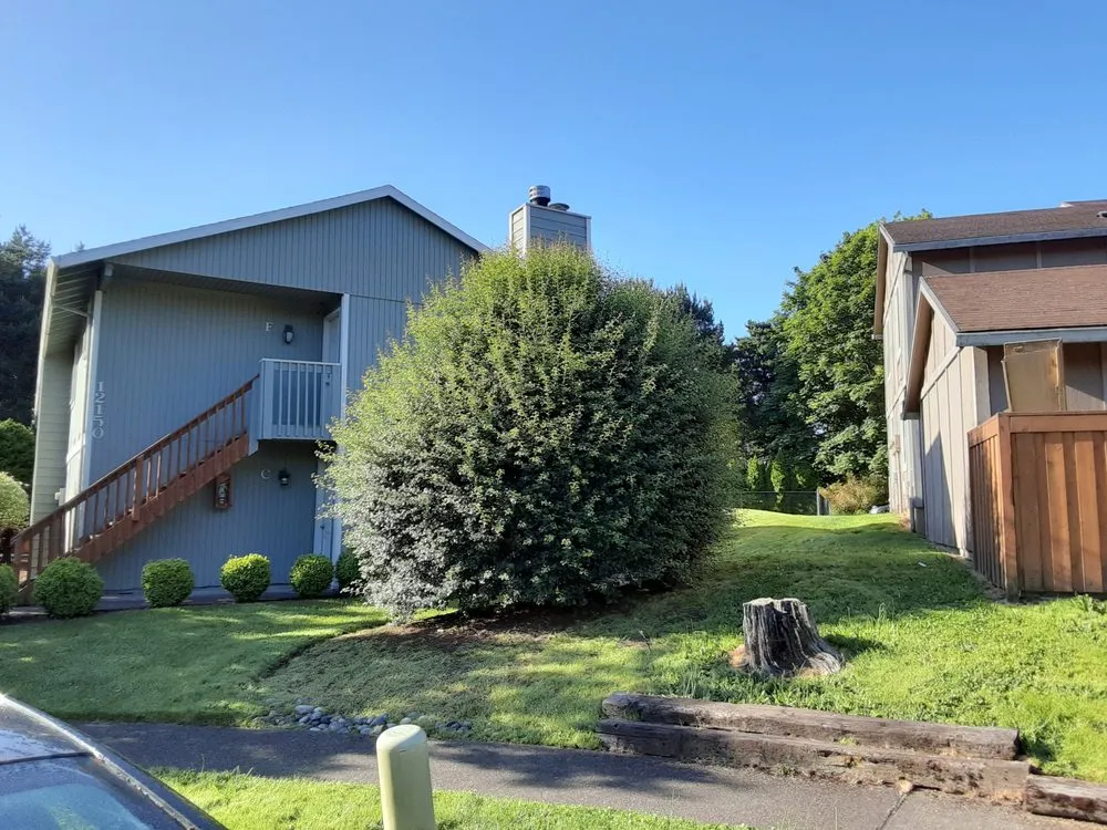 Local yard maintenance in Portland, OR by New Way Construction & Landscape