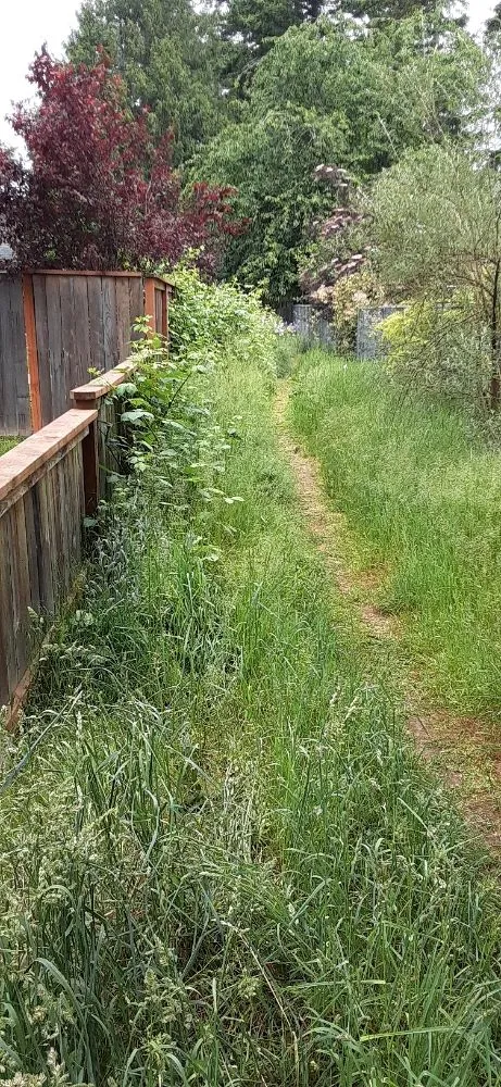 Top-rated landscape design for beautiful yards in Portland, OR by New Way Construction & Landscape