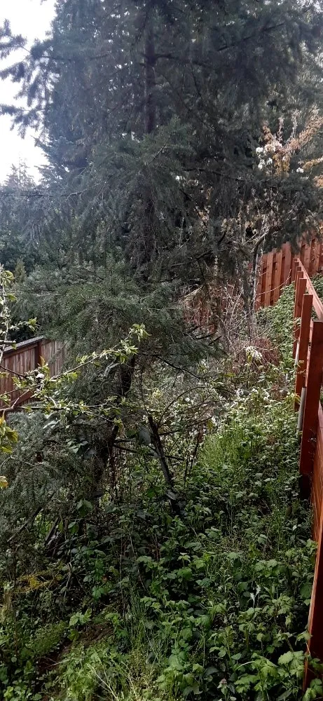 Custom landscaping services in Portland, OR - New Way Construction & Landscape