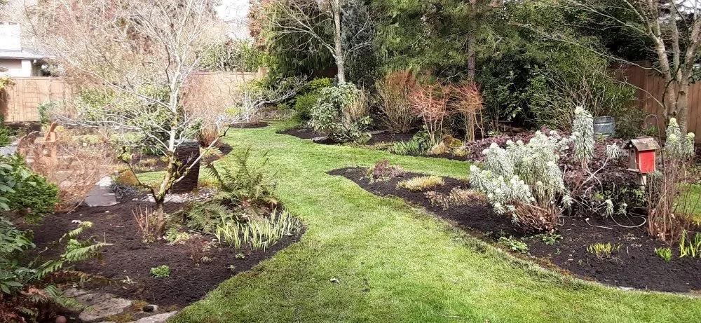 Custom yard cleanup service in Portland, OR by New Way Construction & Landscape