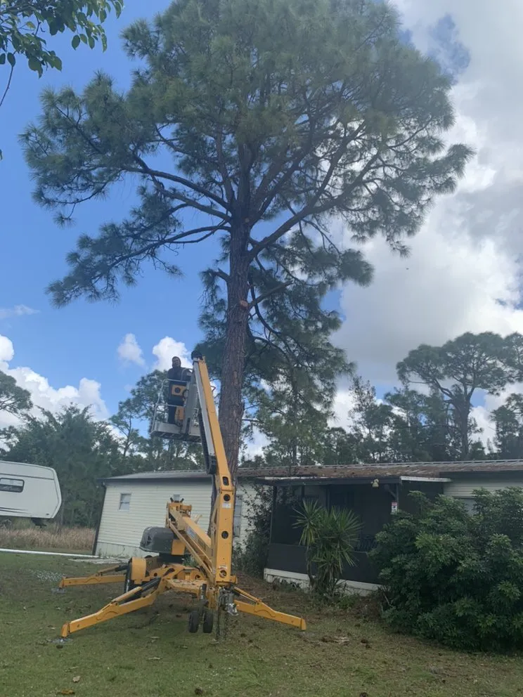 Local landscape design in Fort Myers, FL by New Way Landscaping