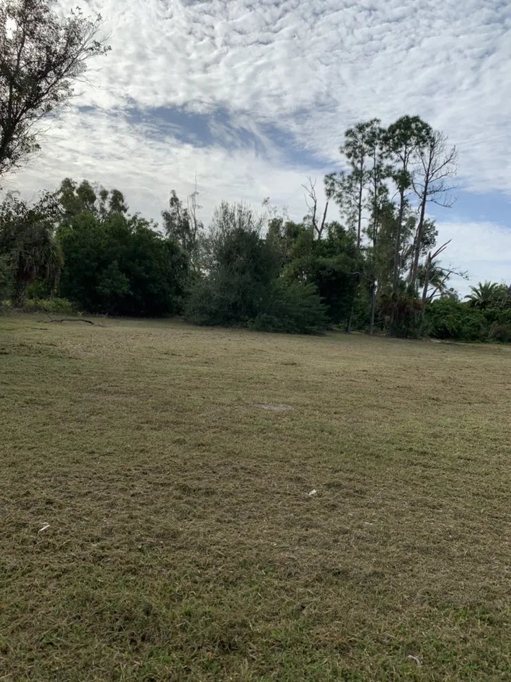 Expert outdoor landscaping with custom design across Fort Myers, FL - New Way Landscaping