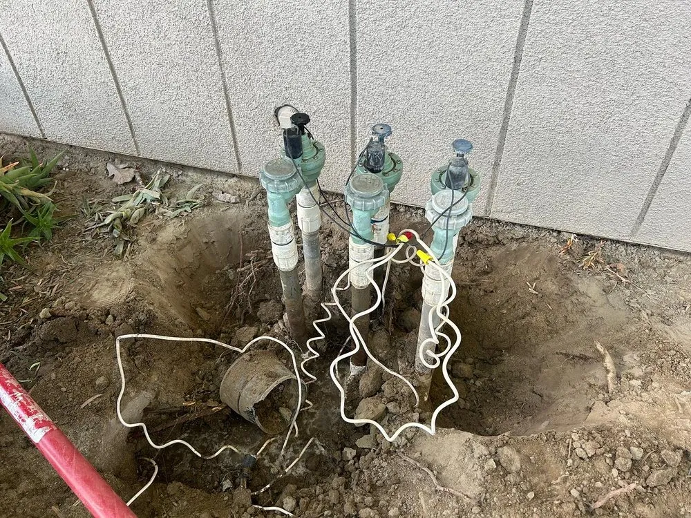 Reliable yard cleanup service for residential properties across Parlier, CA - New World Landscape Construction