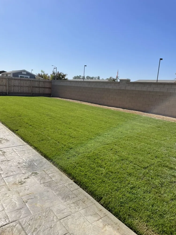 Top-rated lawn care service experts serving Parlier, CA - New World Landscape Construction