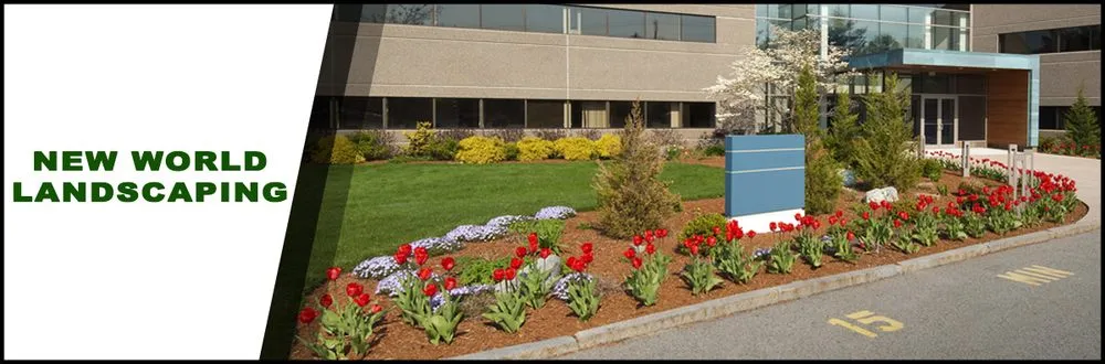 Expert yard maintenance in East Palo Alto, CA by New World Landscaping