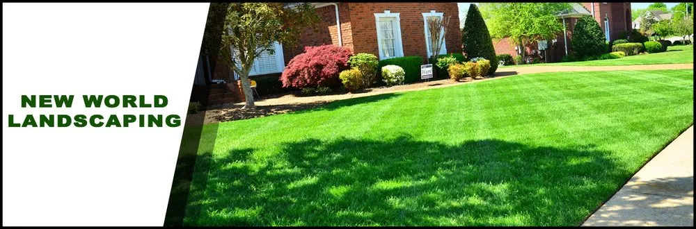 Professional landscaping services near you in East Palo Alto, CA by New World Landscaping
