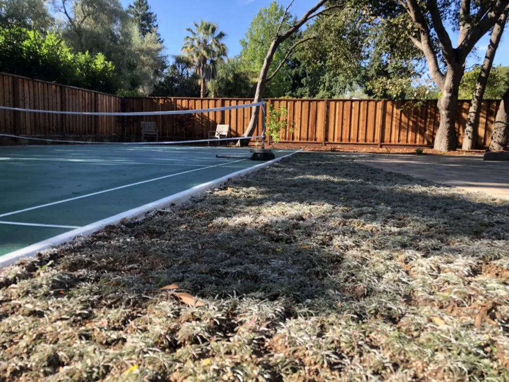 Professional lawn care service experts serving East Palo Alto, CA - New World Landscaping