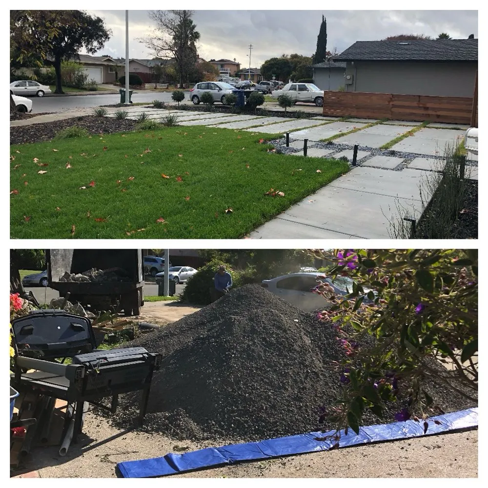 Custom landscape design for year-round maintenance in East Palo Alto, CA by New World Landscaping