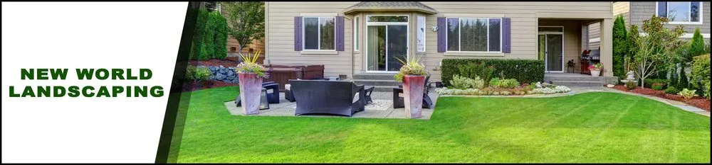 Local yard cleanup service in East Palo Alto, CA - New World Landscaping