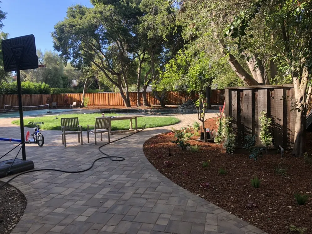 Reliable yard cleanup service for year-round maintenance across East Palo Alto, CA - New World Landscaping