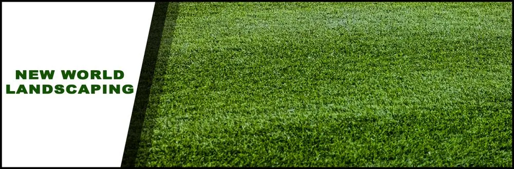 Expert yard maintenance in East Palo Alto, CA by New World Landscaping