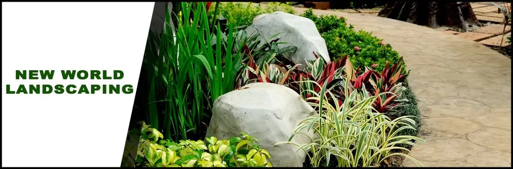 Local lawn mowing service for beautiful yards in East Palo Alto, CA by New World Landscaping