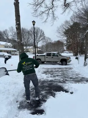 New World Landscaping Logo