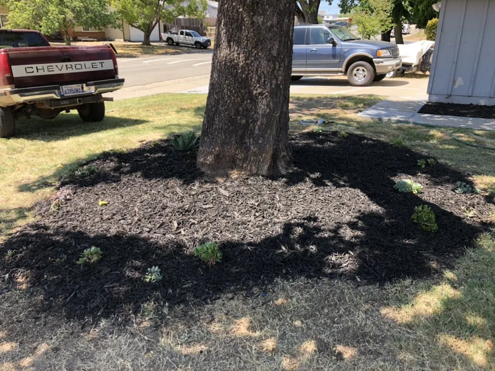 Local residential landscaping for residential properties across Roseville, CA - New World Lawn Service