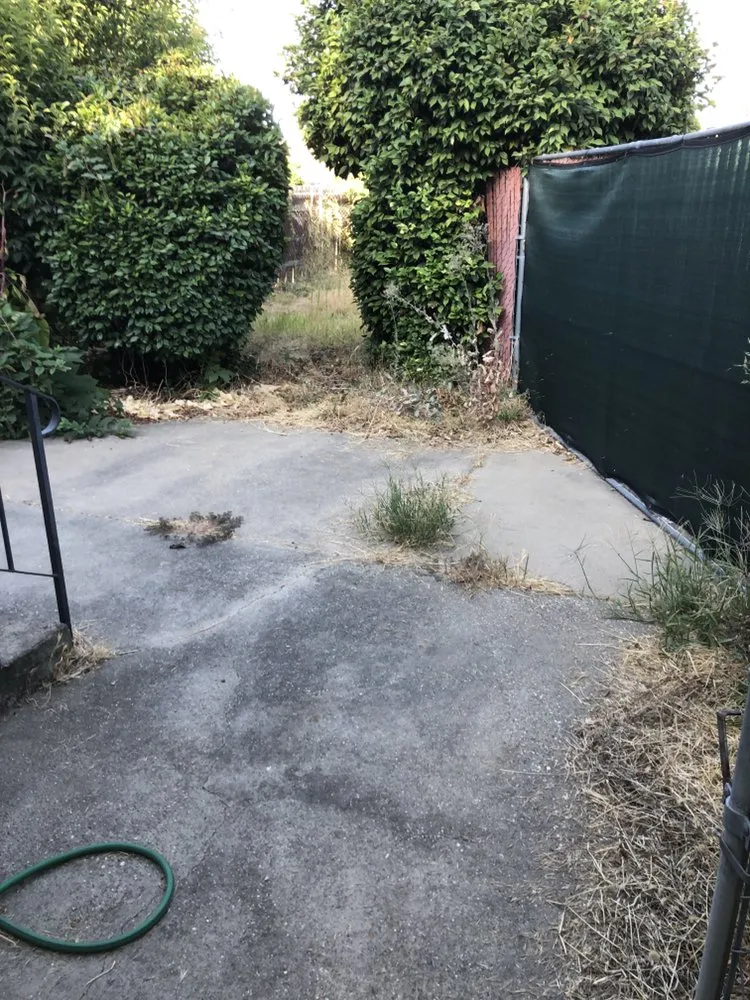 Trusted lawn mowing service experts serving Roseville, CA - New World Lawn Service