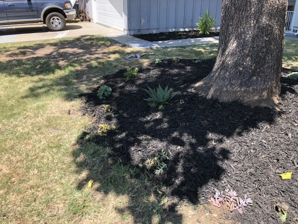 Top-rated landscape design near you across Roseville, CA - New World Lawn Service