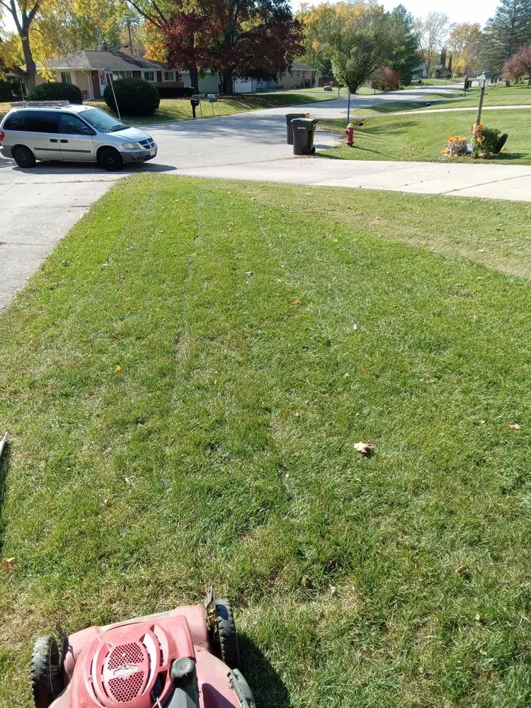 Reliable landscape installation for year-round maintenance across Milwaukee, WI - New World Order