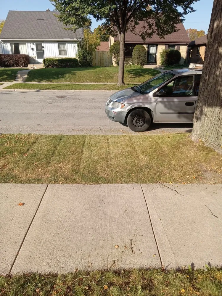 Top-rated residential landscaping in Milwaukee, WI by New World Order