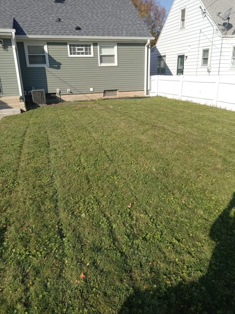 Trusted landscaping services in Milwaukee, WI - New World Order