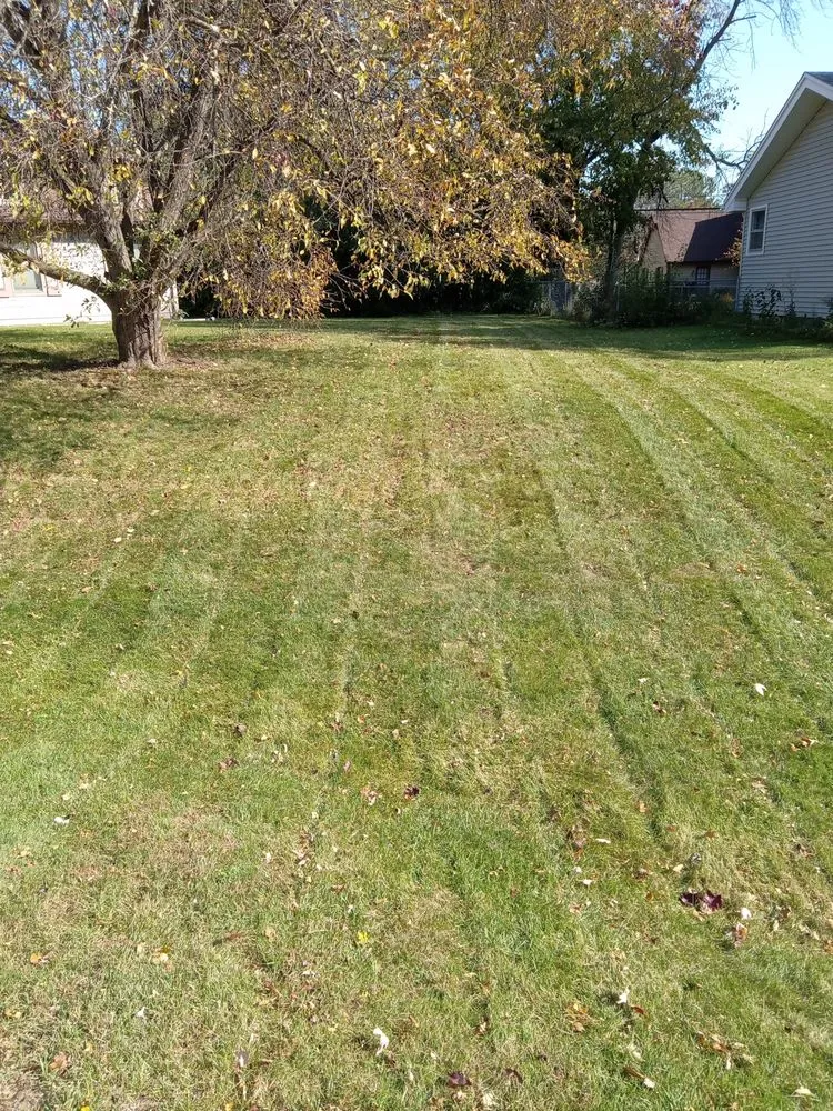 Top-rated landscape installation experts serving Milwaukee, WI - New World Order