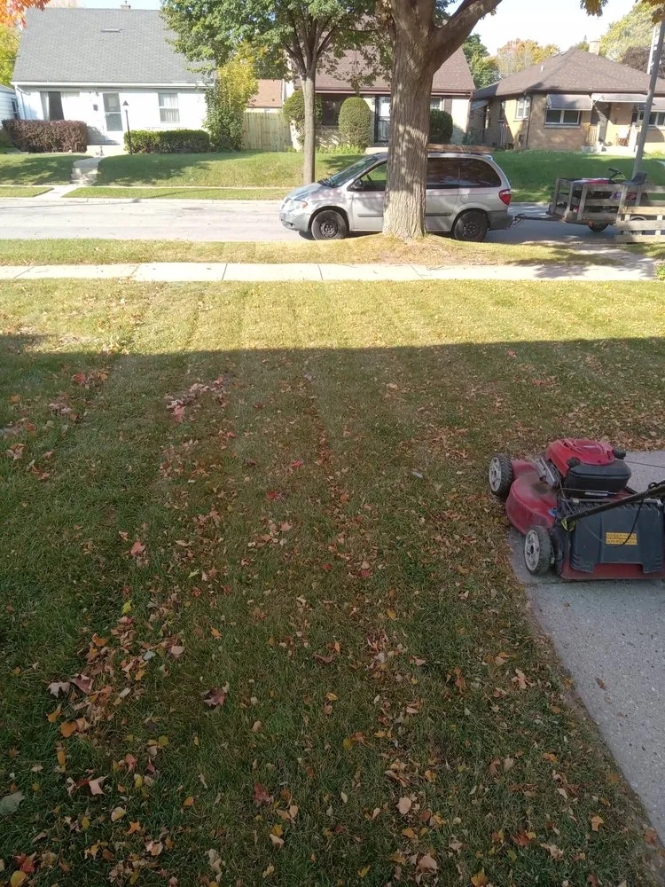 Affordable outdoor landscaping in Milwaukee, WI - New World Order