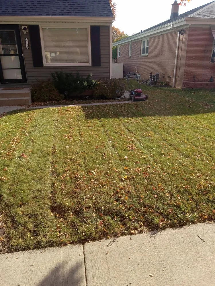 Trusted landscape design for year-round maintenance across Milwaukee, WI - New World Order