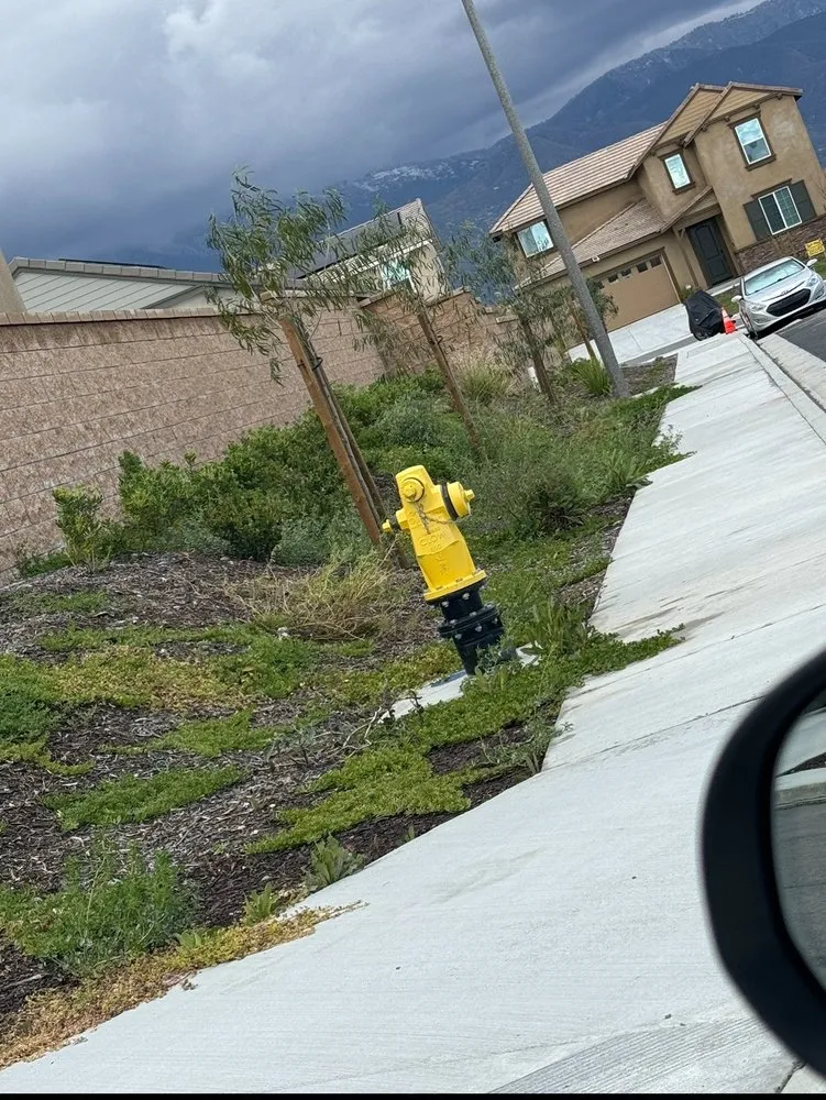 Trusted residential landscaping in Rialto, CA - New Yardz Lawn Care