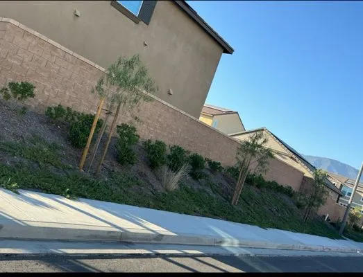 New Yardz Lawn Care Logo