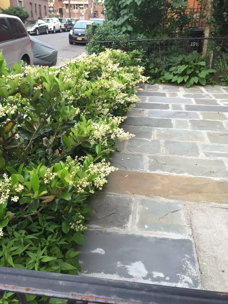 Trusted landscaping services with custom design in Woodside, NY by New York Garden Design & Landscape